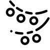 <strong>Lumină la purtător</strong>