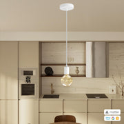 PENDEL CONFIG MATTER 10183